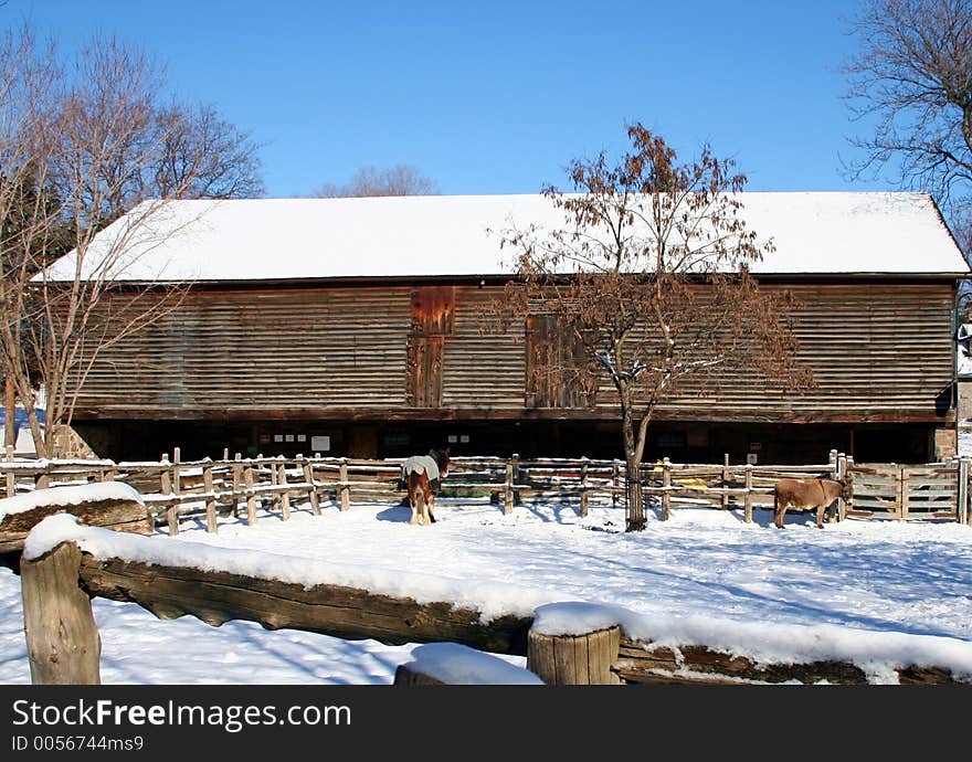 Winter Farm