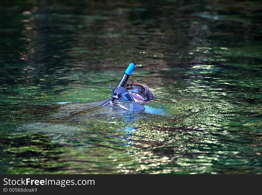 Summer river swim Blue Springs State Park in Florida. Summer river swim Blue Springs State Park in Florida.