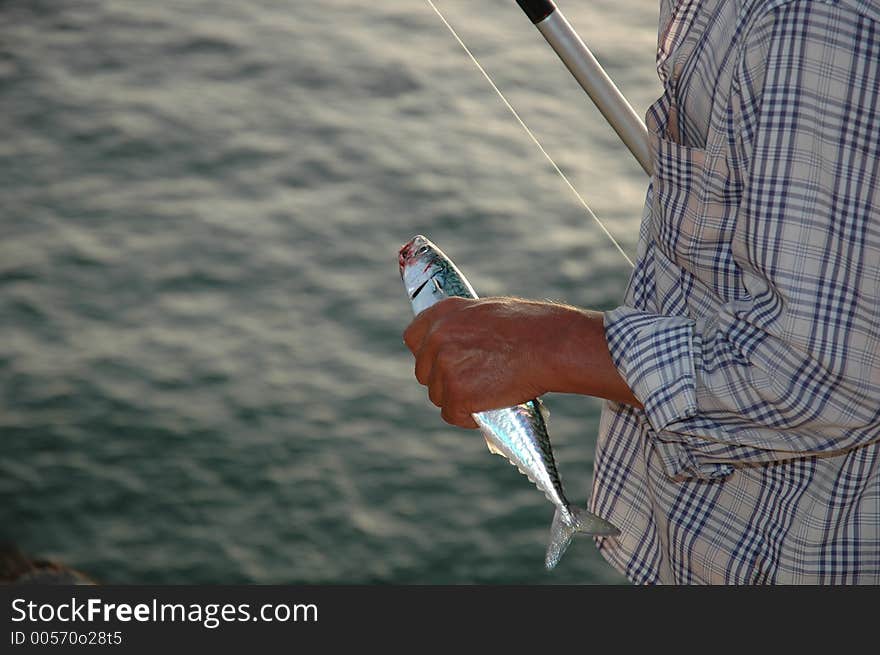 Sport fishing from high cliffs at San Pedro de Moel, central western coast of Portugal. Sport fishing from high cliffs at San Pedro de Moel, central western coast of Portugal.