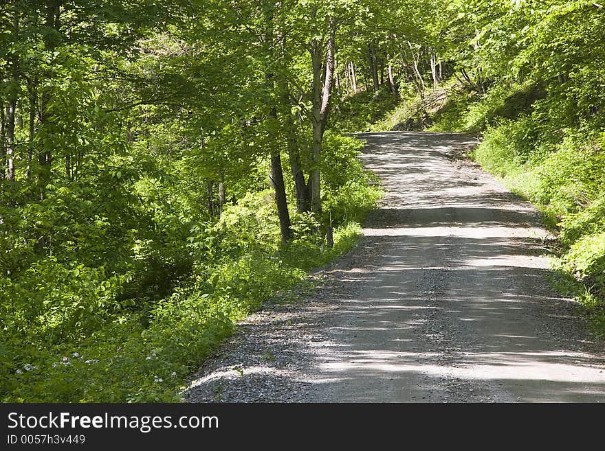 A Country Road in the Spring. A Country Road in the Spring