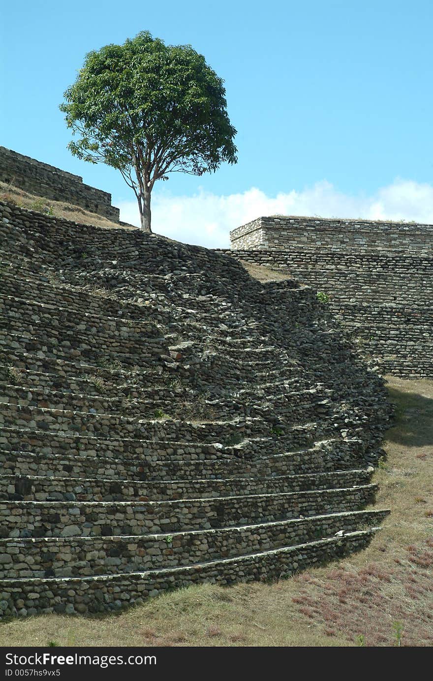 Small Tree Atop Mayan Ruins of Mixco Viejo, Guatemala