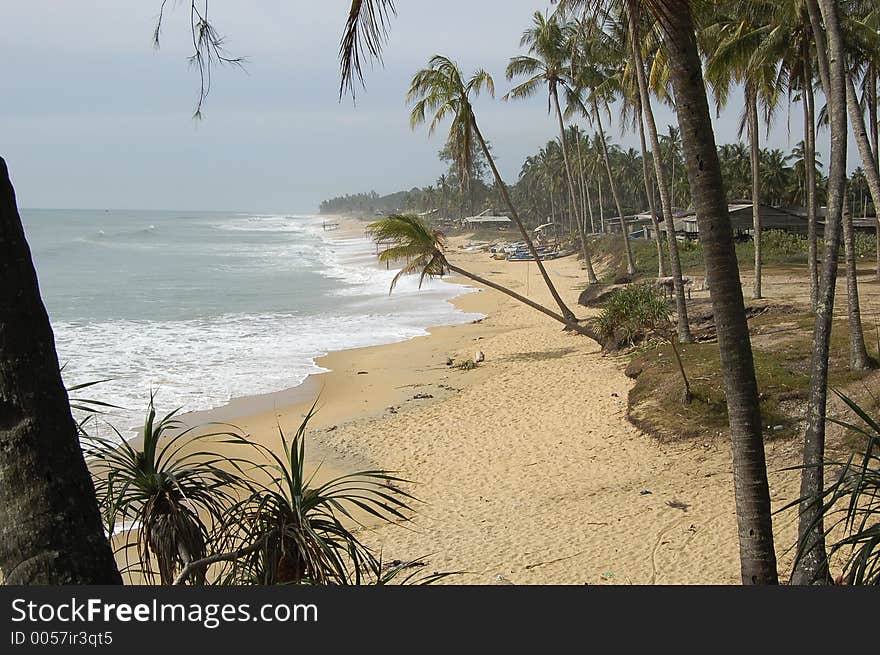 Tropical beach