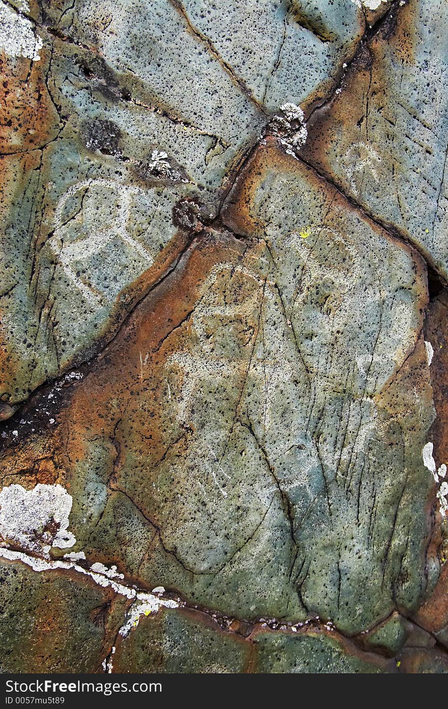 Rock paintings. Altay. Russia