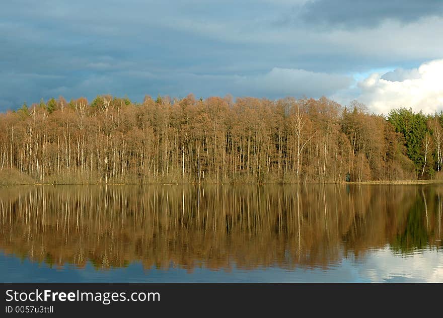 Lake And Forest