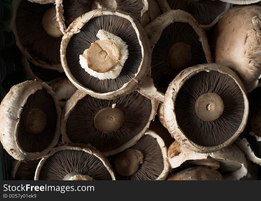 Close up view of several common brown edible mushrooms