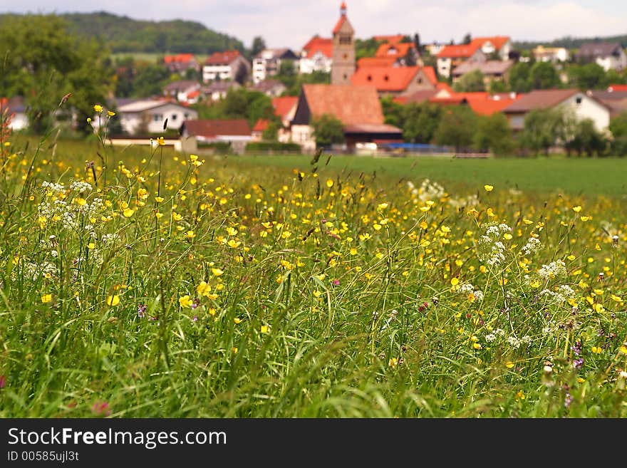 Nature and Lanscape photography. Nature and Lanscape photography