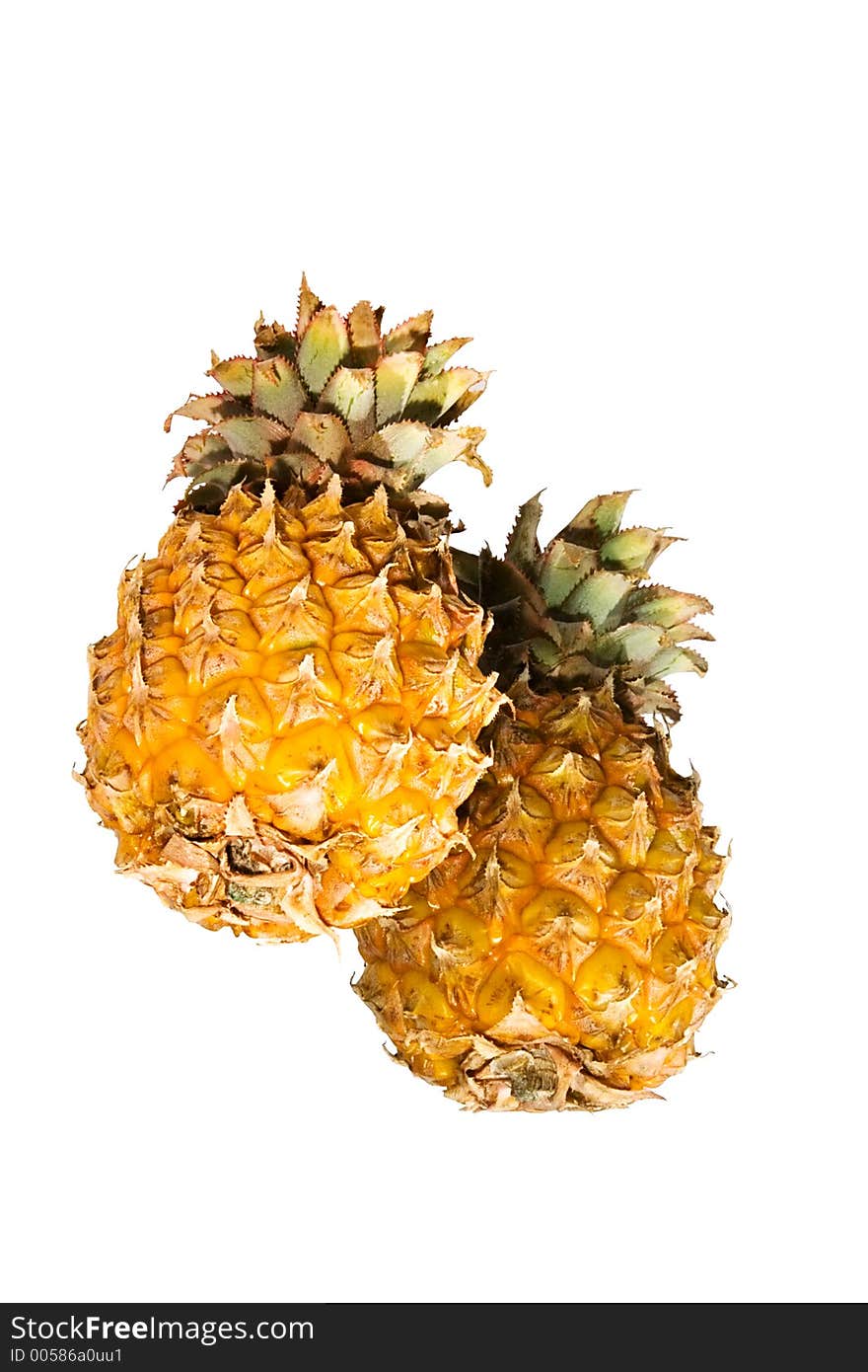 Tropical pineapple. Tropical pineapple