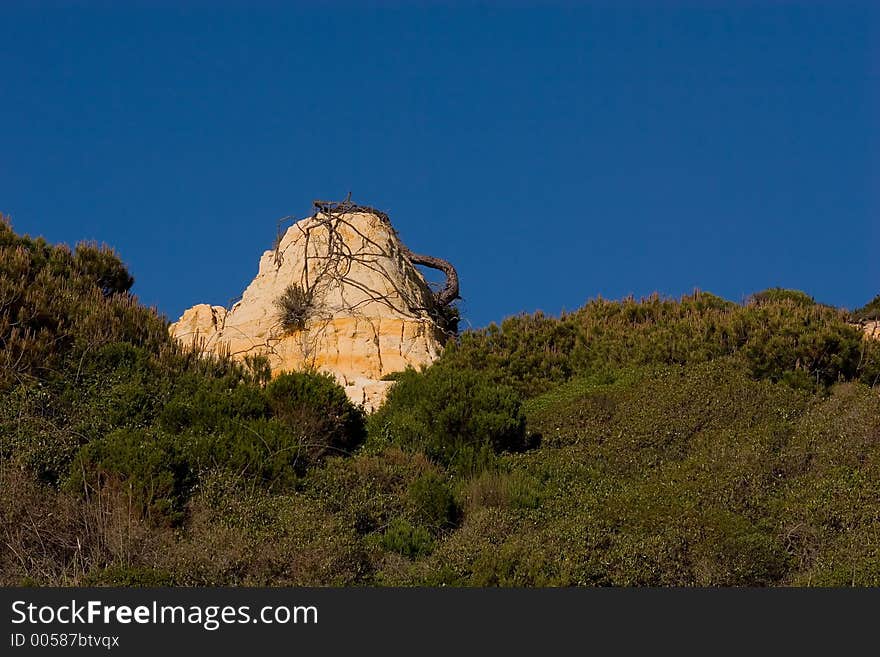 Rock Detail Landscape