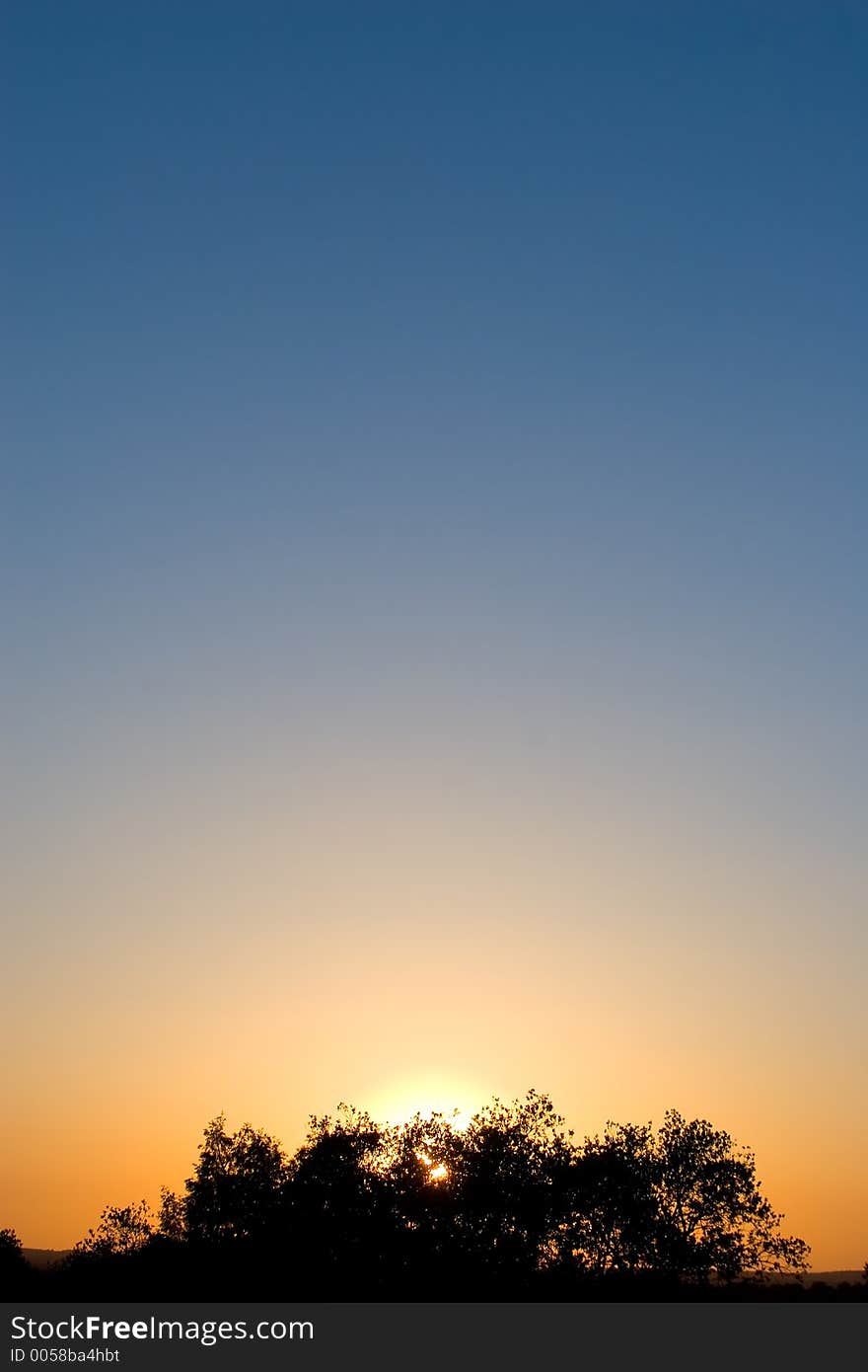 Sunset with tree branches in Spain. Sunset with tree branches in Spain