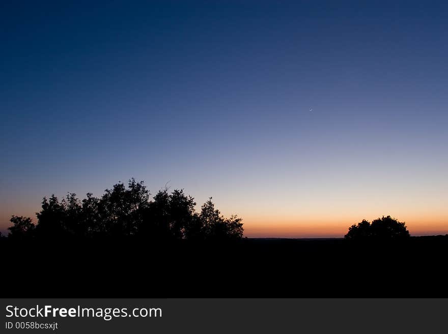 Sunset with tree branches in Spain. Sunset with tree branches in Spain