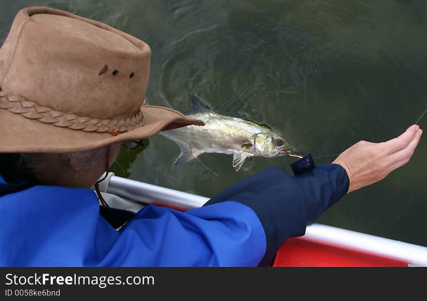 Lady releasing a fish from the side of a boat. Lady releasing a fish from the side of a boat.