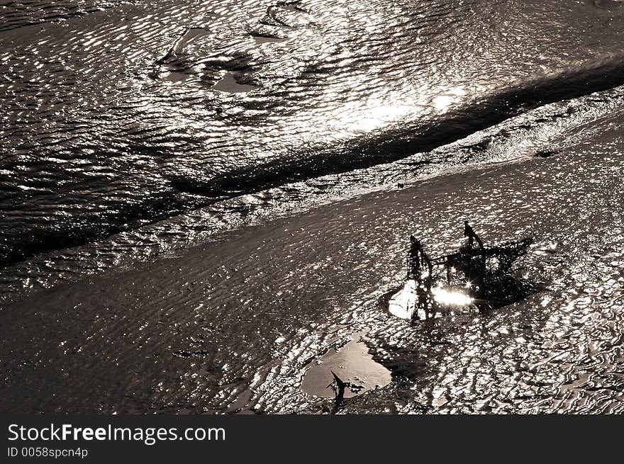 Light reflection of tidal estuary mud