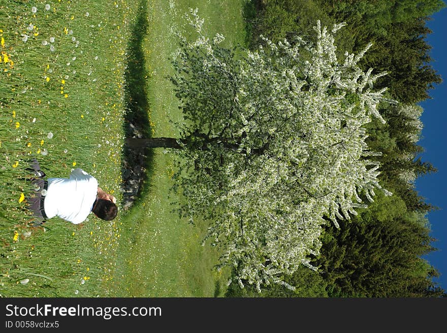 Man taking a picture of a wonderful blooming tree. Man taking a picture of a wonderful blooming tree