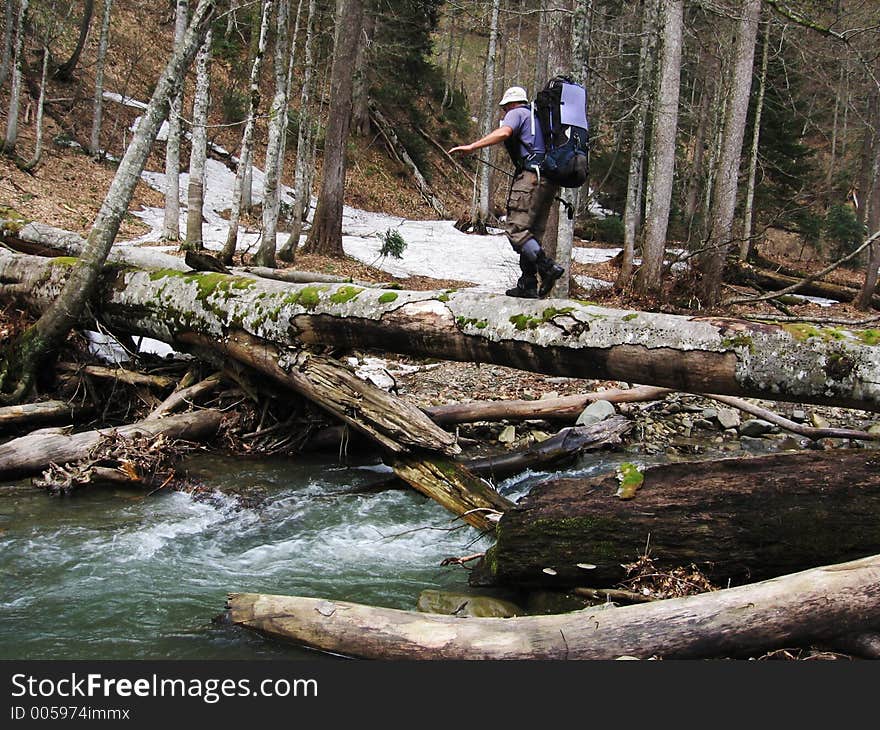 Waftage in Caucasus forest. Waftage in Caucasus forest