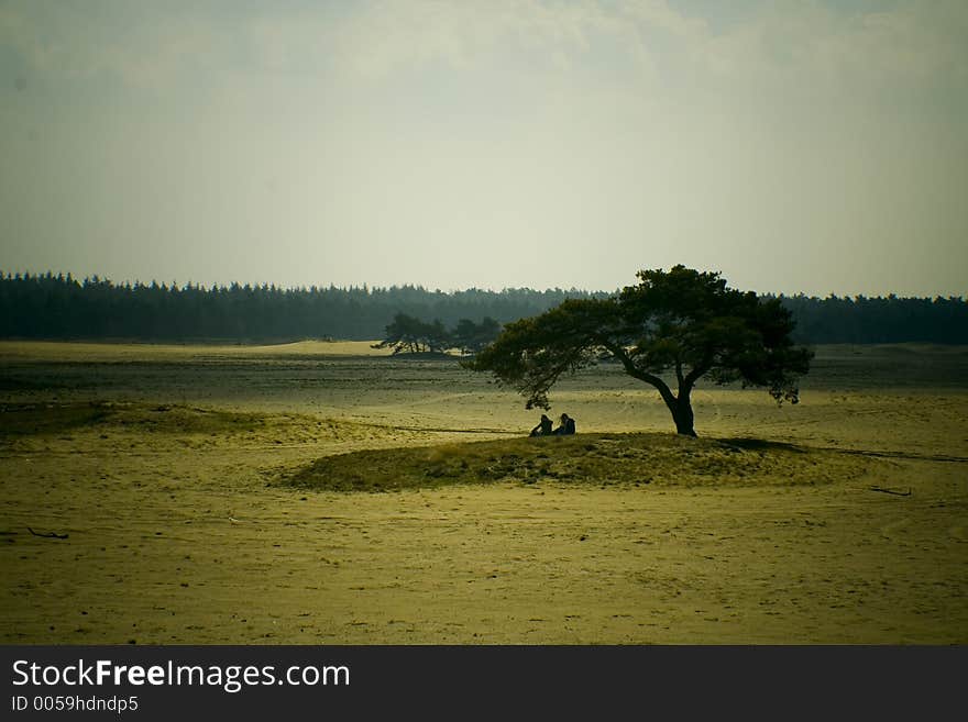 People on an island of sand