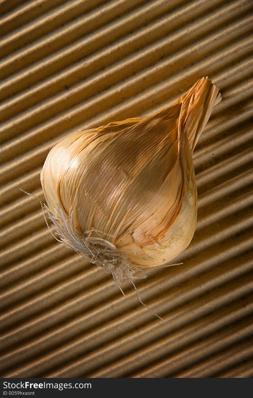 Garlic Bulb On Textured Background