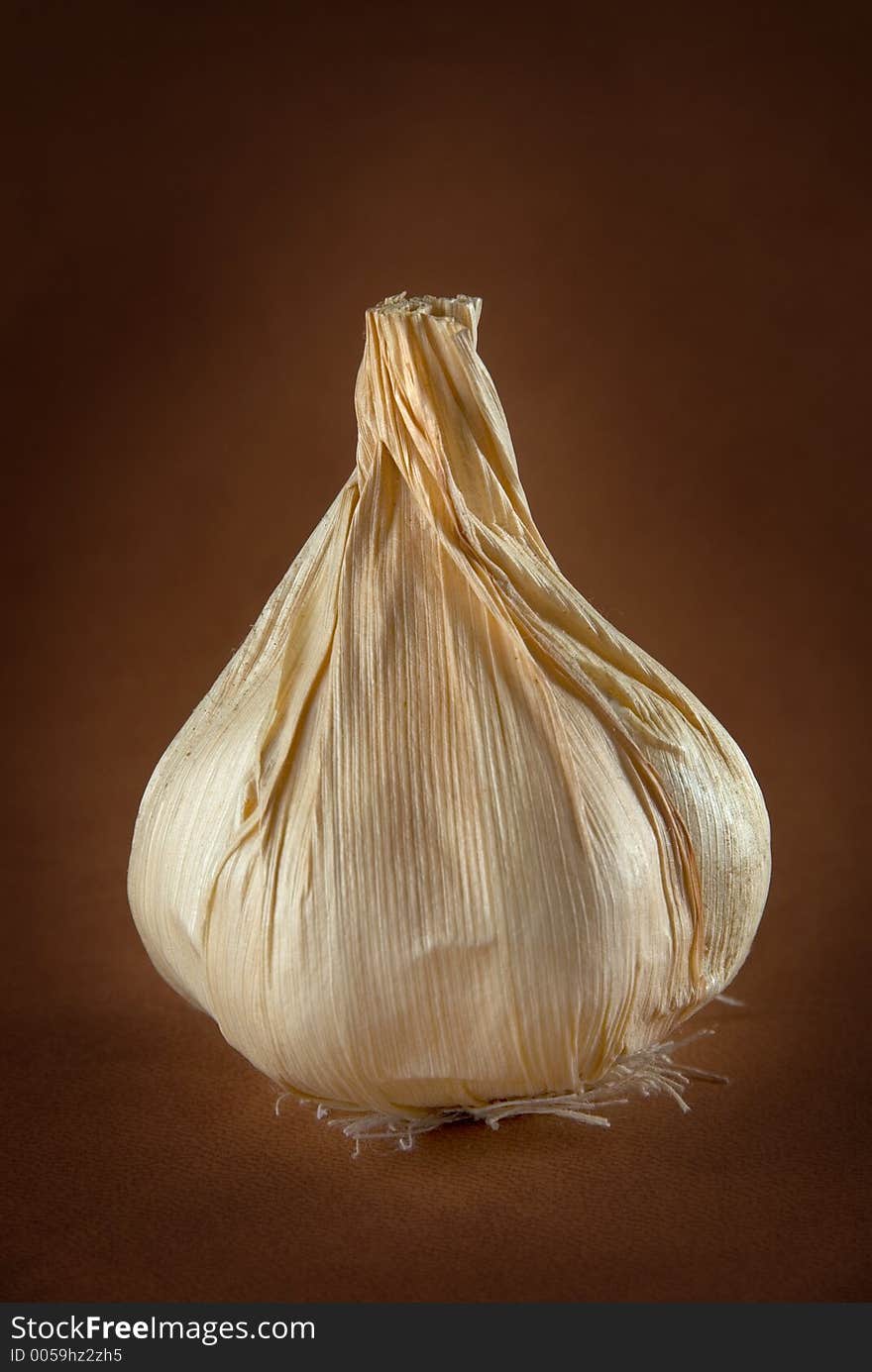 Upright Dried Garlic Bulb