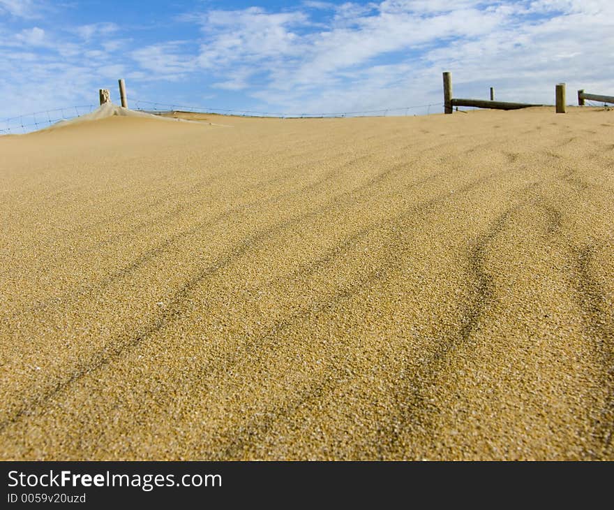 The top of a wind blown sand hill. The top of a wind blown sand hill.