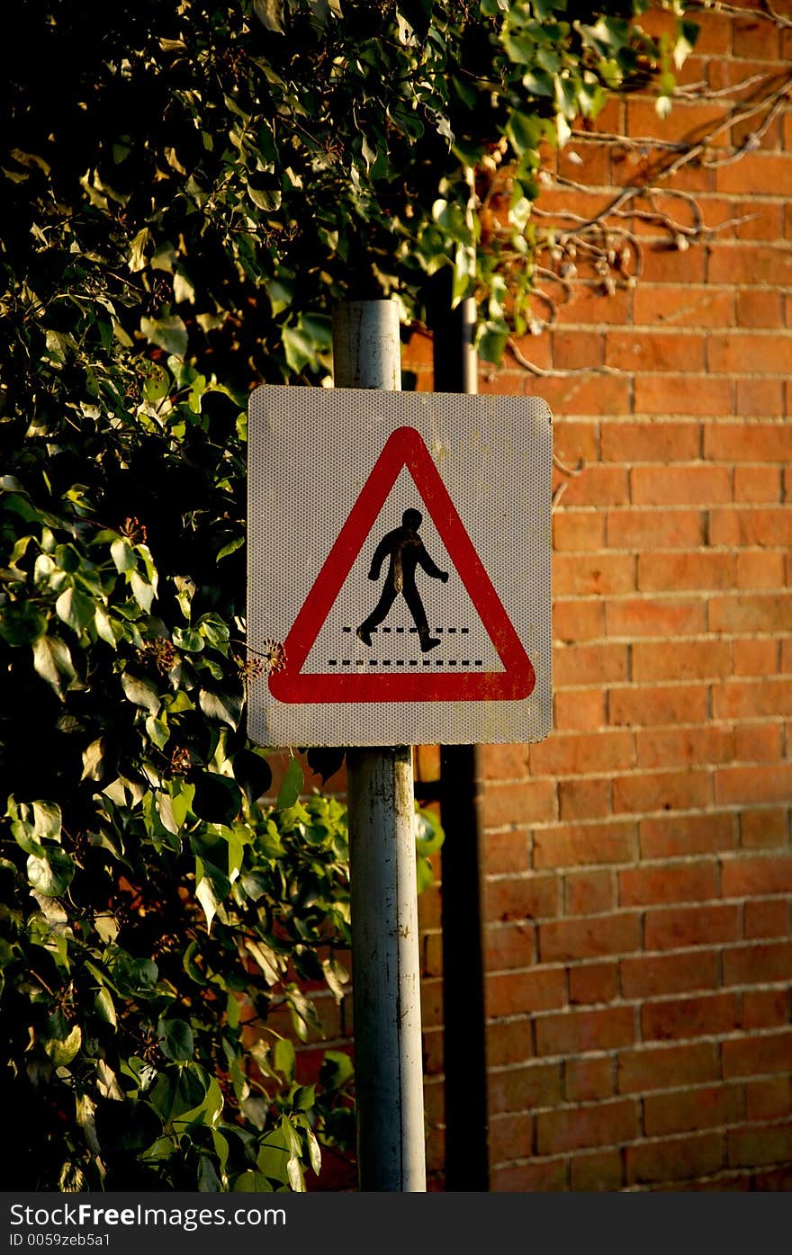 Warning Sign, people walking in roadway