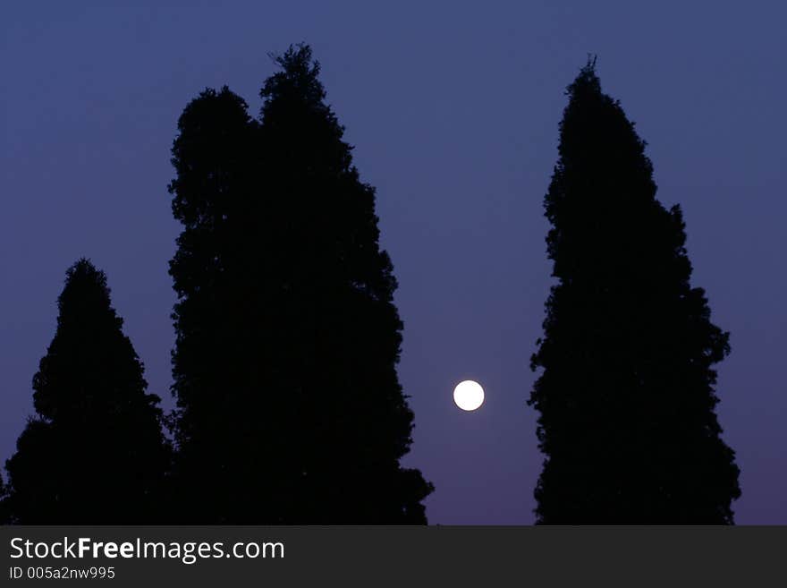 In the country moon in the night over trees. In the country moon in the night over trees