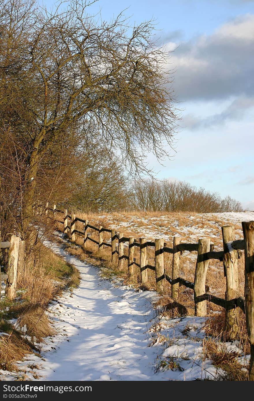 Winter path