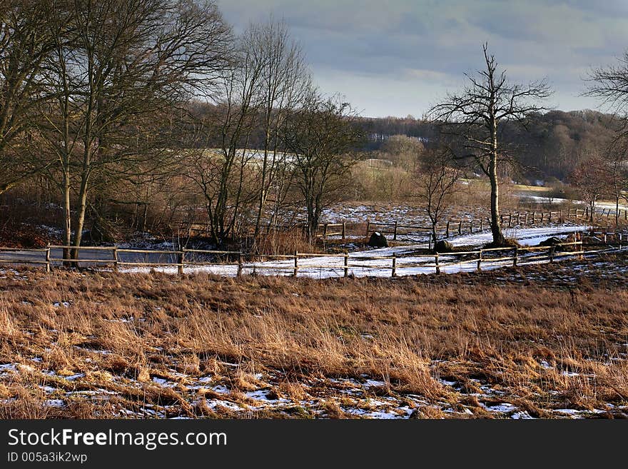 Winter Path