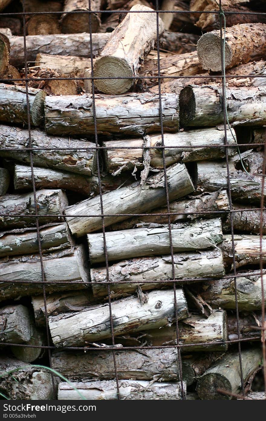 Woodpile closeup on  tree trunks