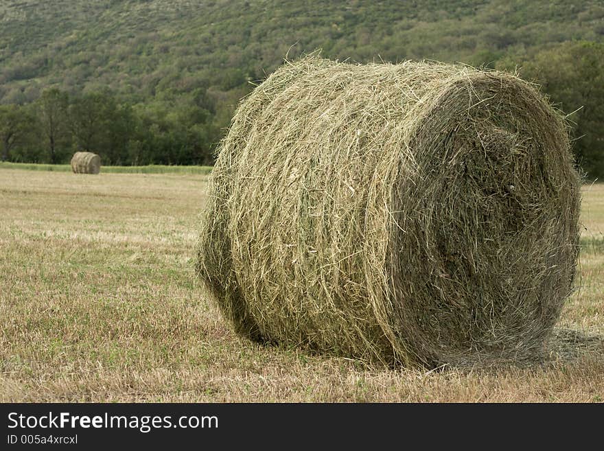 Rolls of hay - perspective