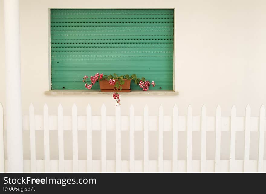 Green window in a white wall