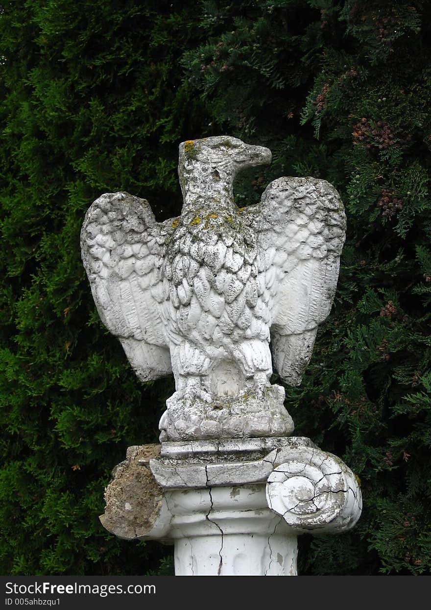 Stone eagle old monument background trees (pine)