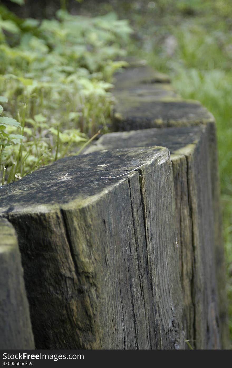 A small wood wall in nature