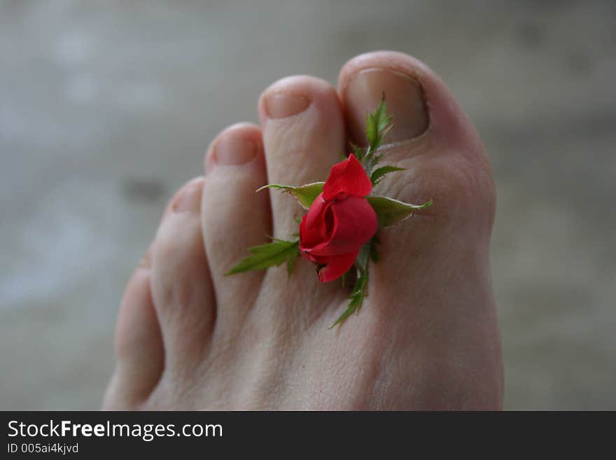 Stop to feel the rose petals under your feet. Stop to feel the rose petals under your feet