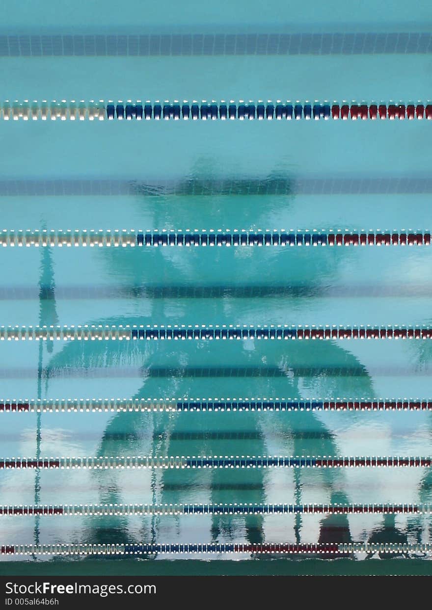 A reflection of a palm tree and people on a pool. A reflection of a palm tree and people on a pool