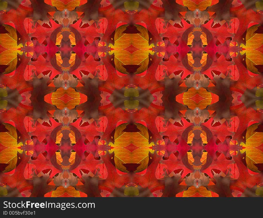 Background created from pictures of autumn leaves. Background created from pictures of autumn leaves