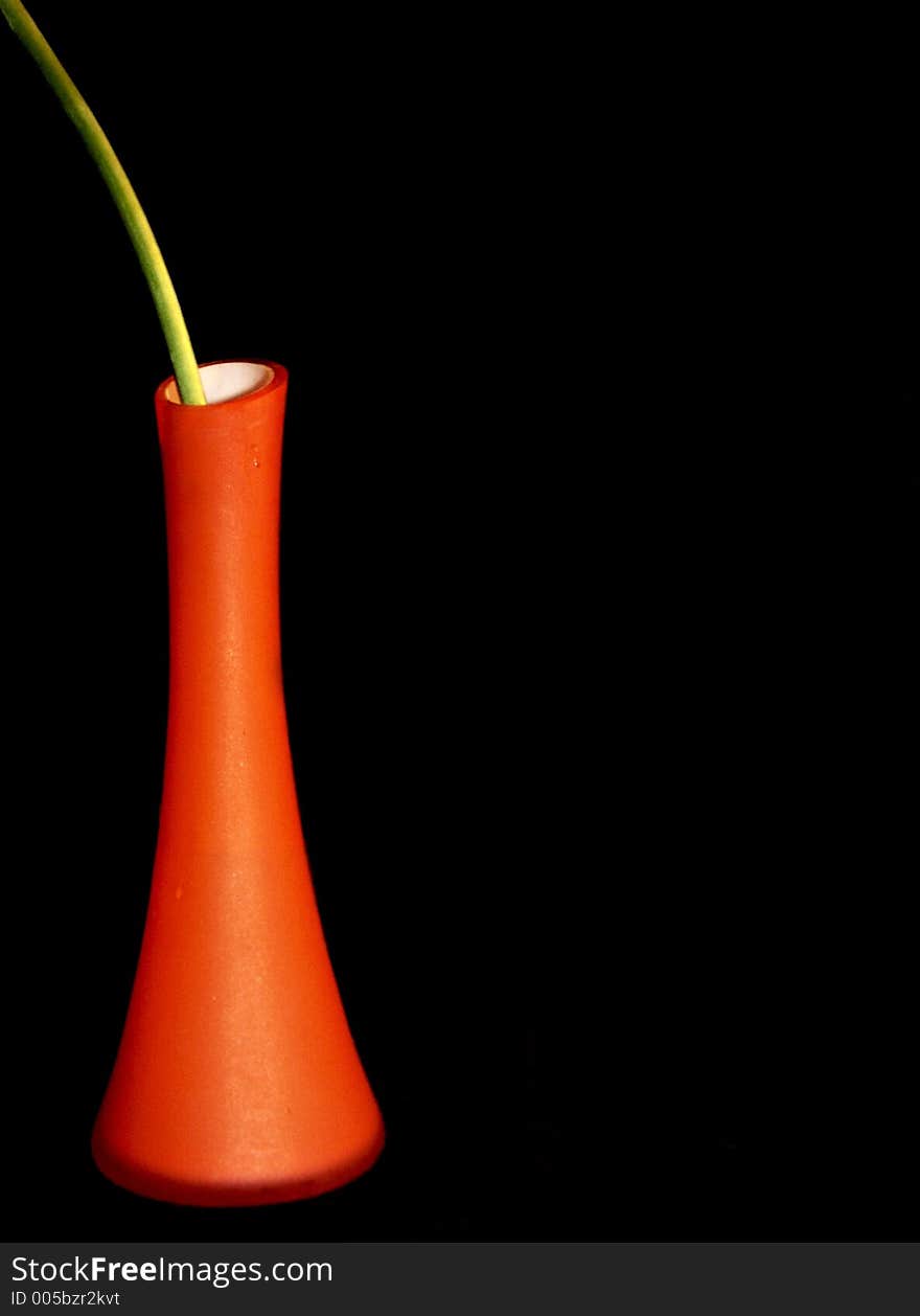 Orange vase with red tulip