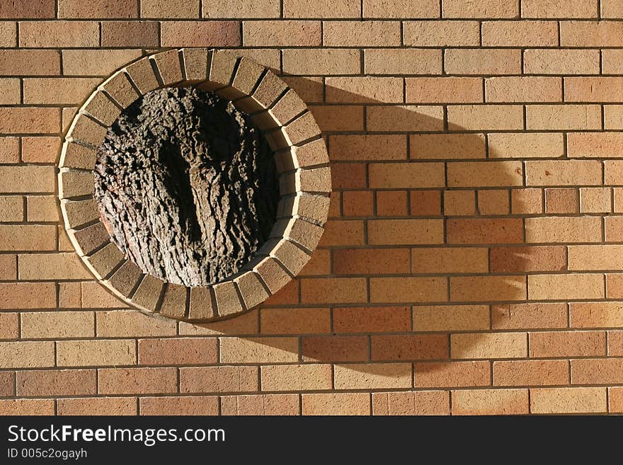 Brick wall with a portal looking onto a tree.  Tree is out of focus, brick wall tack sharp.  Metaphor for society boxing out natural things?. Brick wall with a portal looking onto a tree.  Tree is out of focus, brick wall tack sharp.  Metaphor for society boxing out natural things?