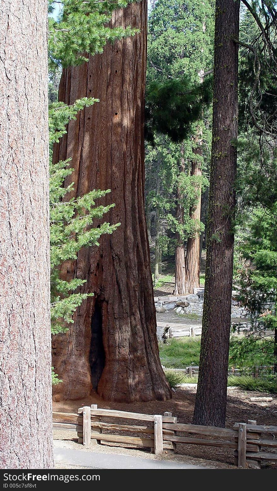 High in the mountains at the Sequoia National Forest in Three Rivers, California. High in the mountains at the Sequoia National Forest in Three Rivers, California