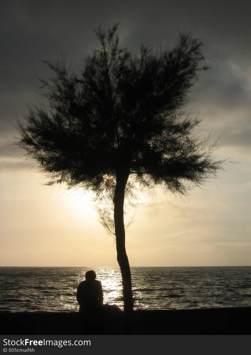 Sunrise on the beach. Sunrise on the beach