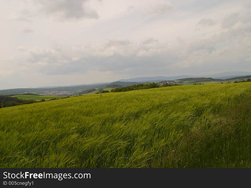 Nature and landscape photography. Nature and landscape photography