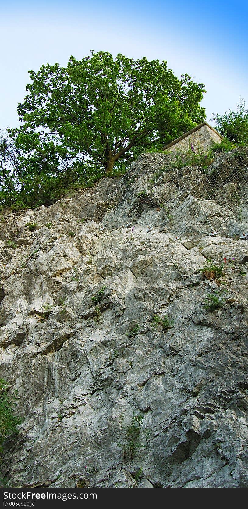 Image of a tree growing on top of a rocky cliff, in the mountains. Image of a tree growing on top of a rocky cliff, in the mountains.