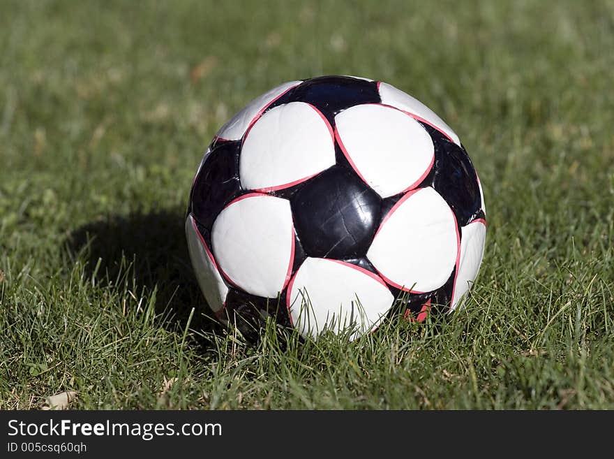Classic black and white soccer ball sitting in the grass.
