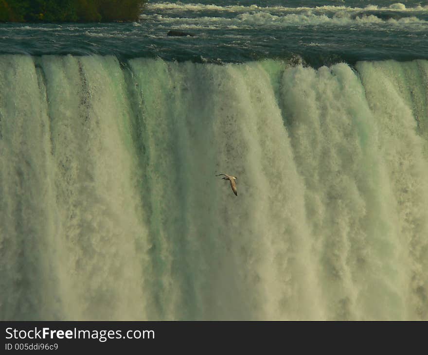 Niagara falls V