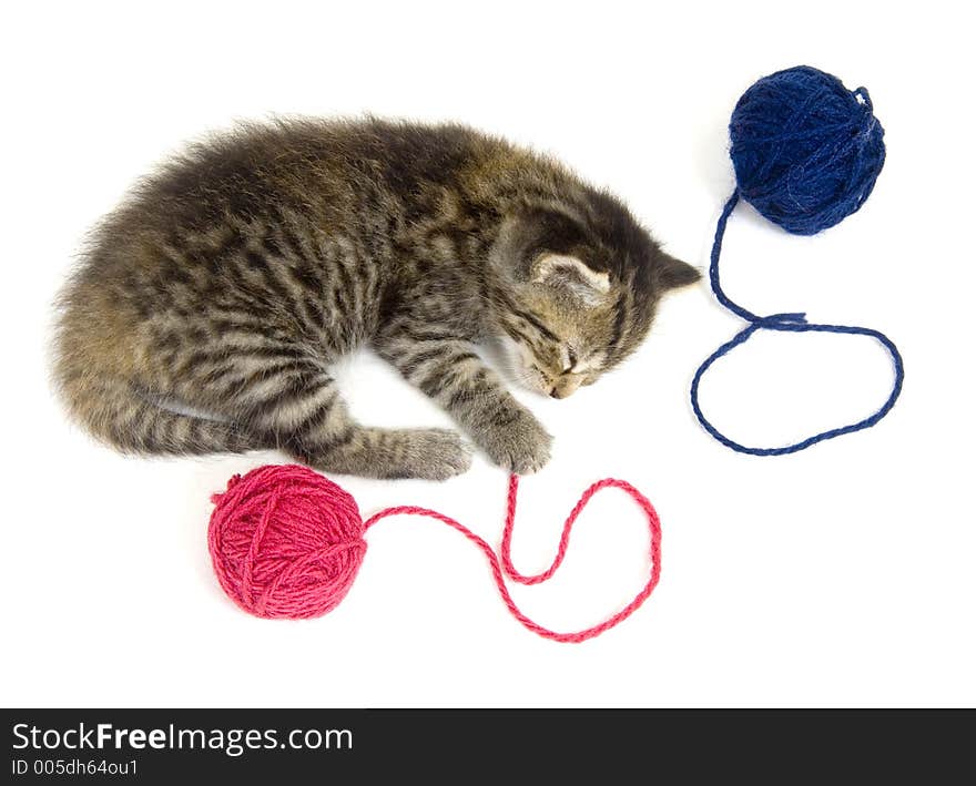 A kitten takes a nap after playing with a ball of yarn. This kitten is one of several being raised on a farm in central Illinois. A kitten takes a nap after playing with a ball of yarn. This kitten is one of several being raised on a farm in central Illinois.