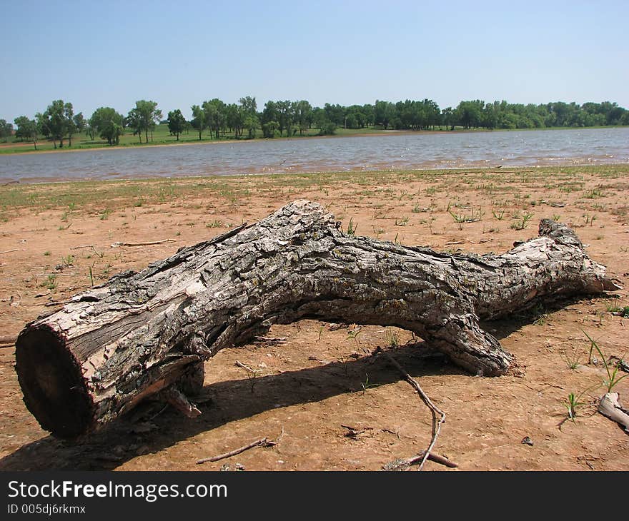 Log On Beach