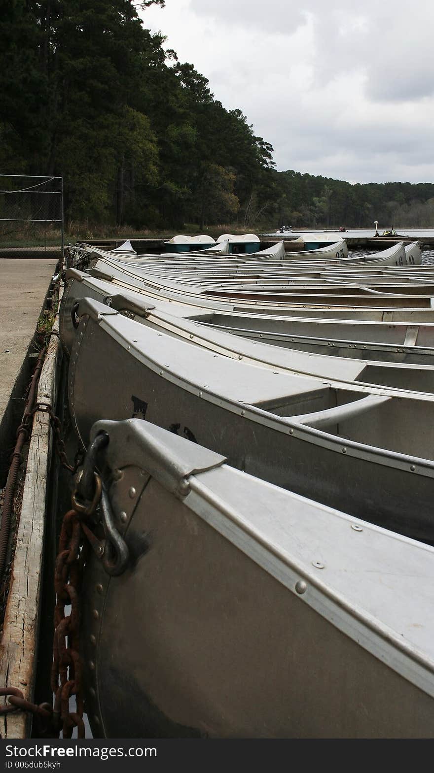 Paddle Boats 2