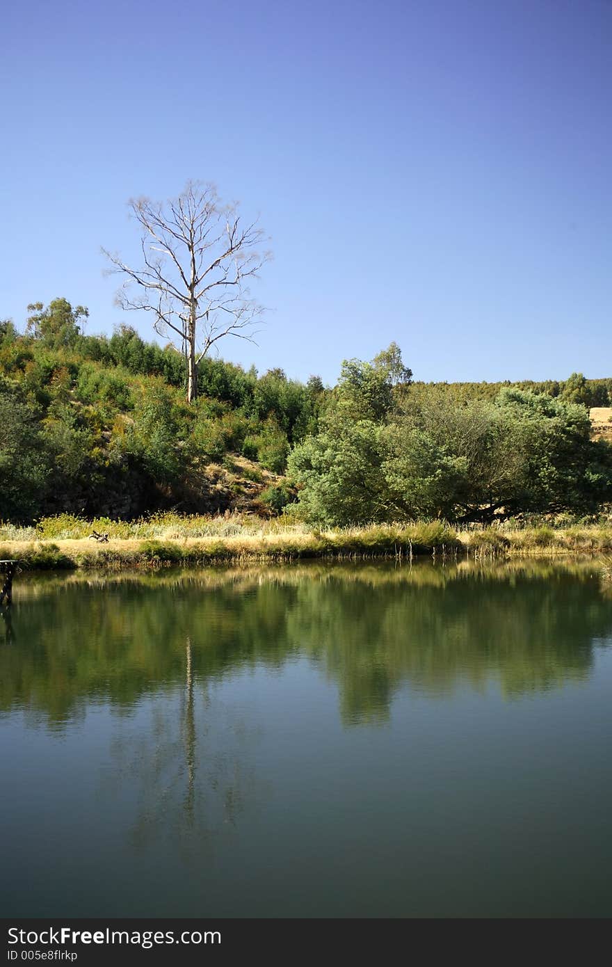 View of a trout lake. View of a trout lake