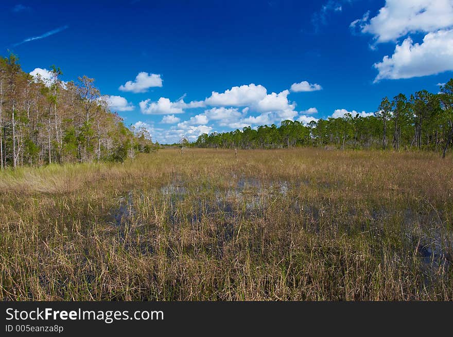 Marshes