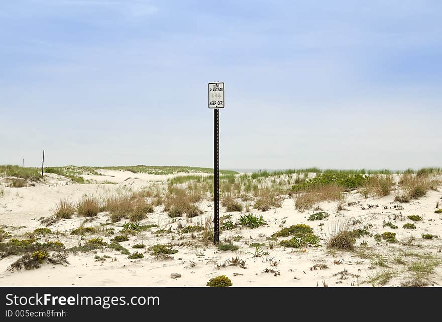 Photo of Dunes