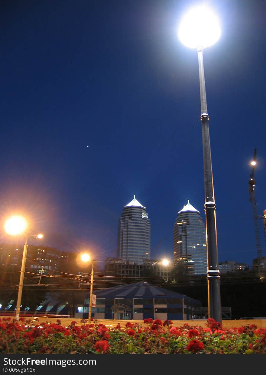 Night,flowers,city,building,lanterns. Night,flowers,city,building,lanterns