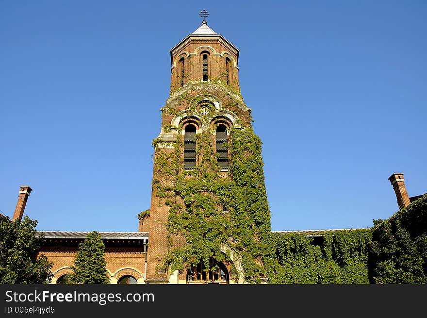 Ivy capturing and entire building with tower